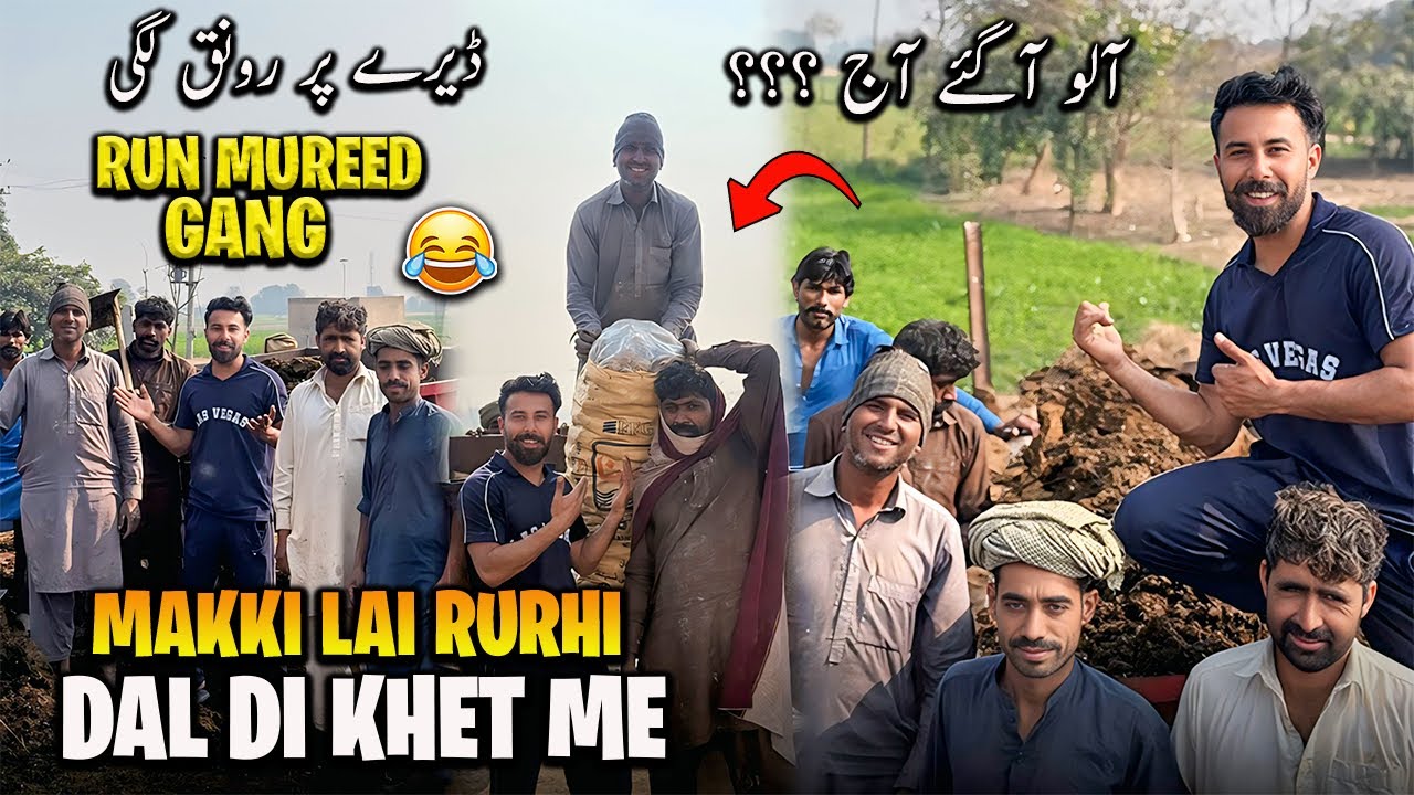 Makki Lai Rurhi Daal di Khet me😍 RUn Mureed Gang ne Lagai Ronak Dere pe😂😂 Yaseen Karamdeen