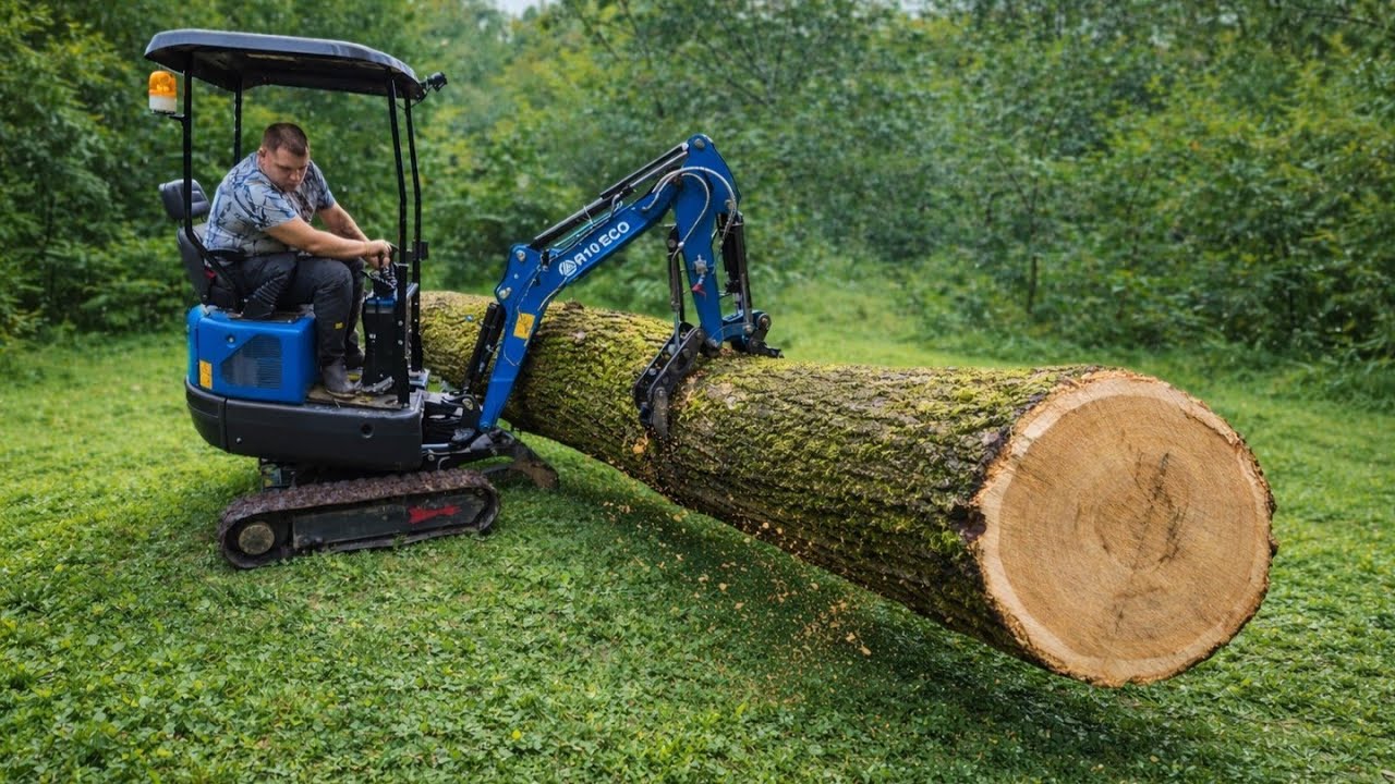 I'm Cutting a Huge LOG And Move It With a Mini Excavator Rippa R10 1 Ton 10hp