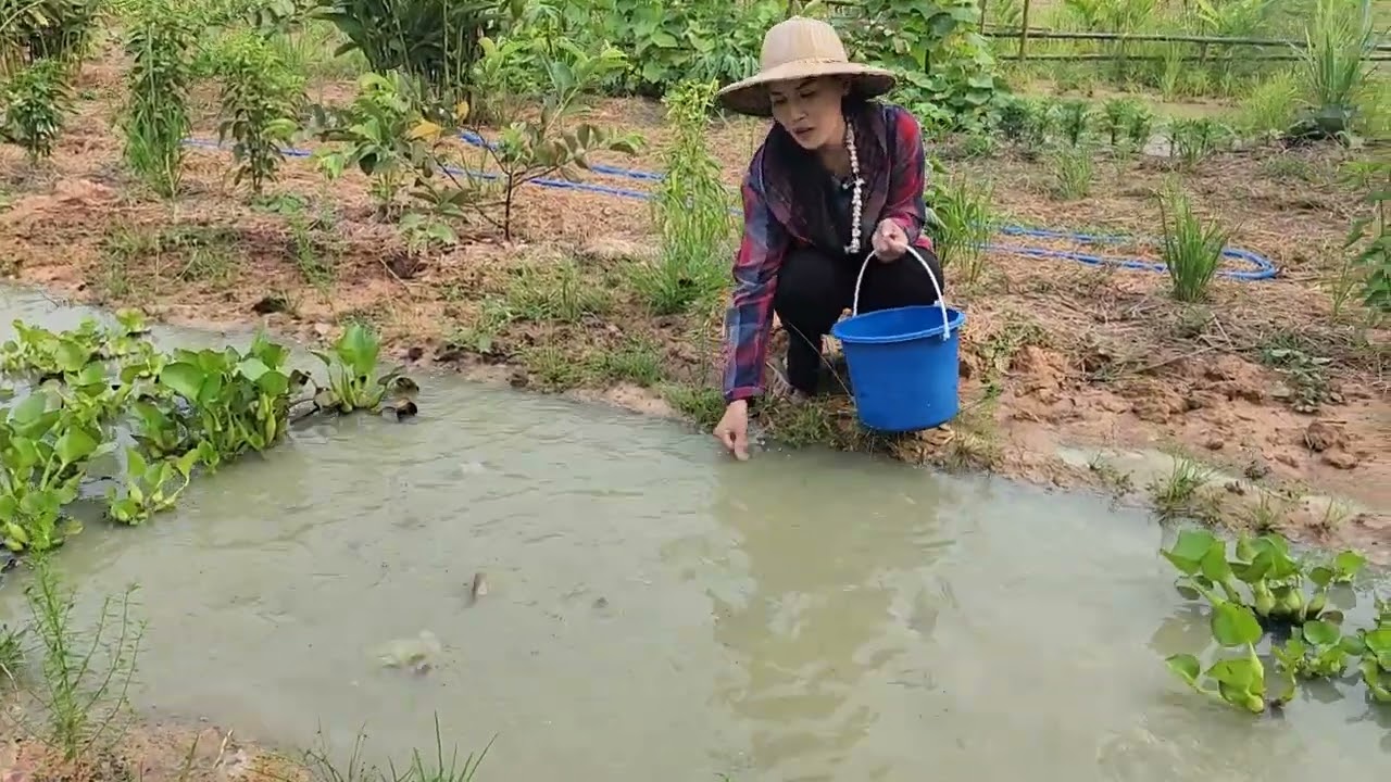 1 ไร่ ผสมผสาน น้อยแต่แน่น!!สุดยอดการจัดการวางแผนพื้นที่ คลองไส้ไก่สวยงามลงตัวสุด ๆ