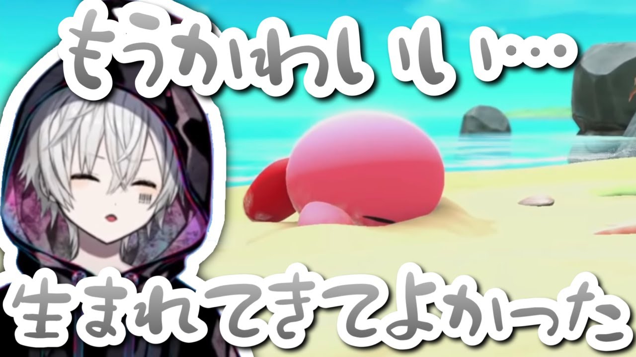 【切り抜き】カービィ限界オタクまふまふハイライト【まふまふ】