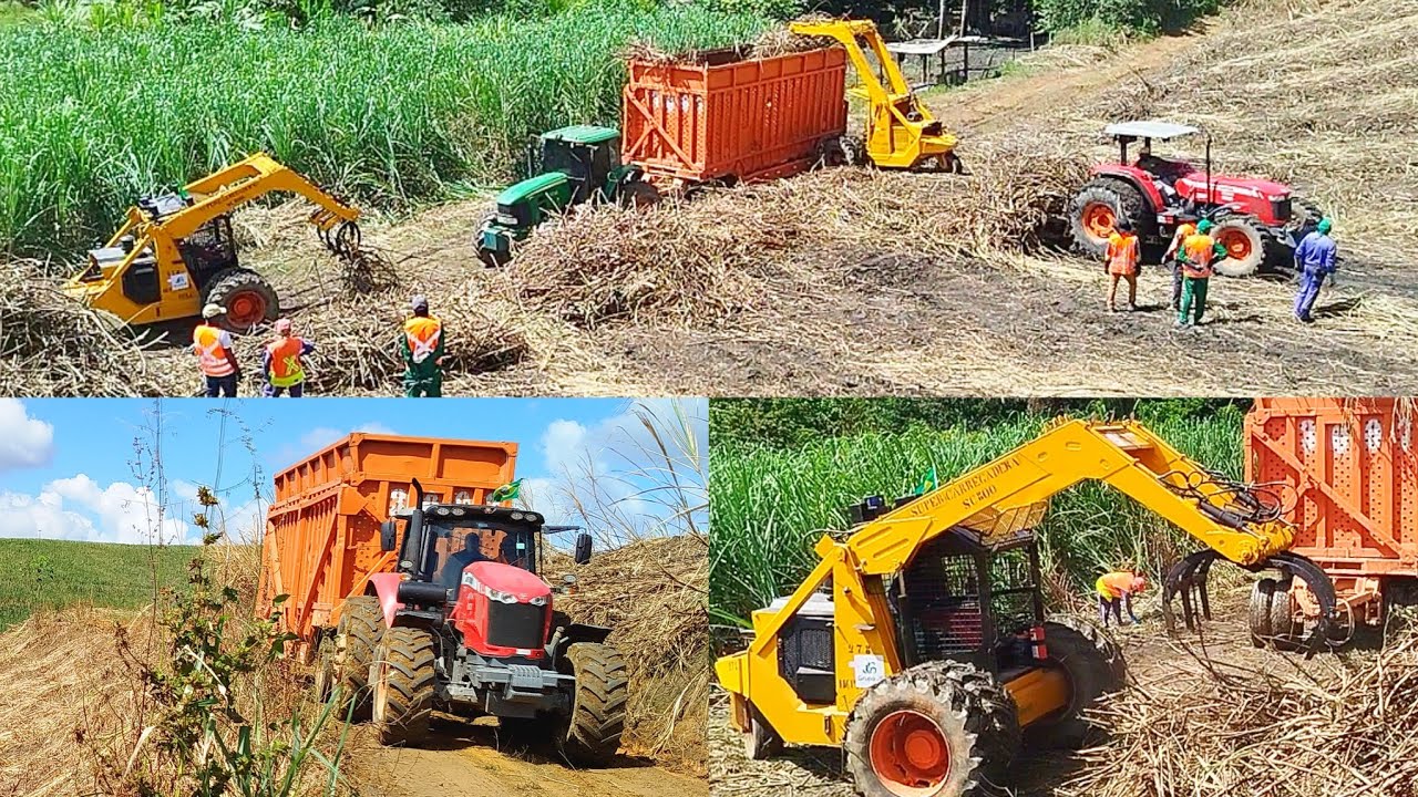  Primeiro Dia Carregamento De Cana De A&ccedil;&uacute;car Usina JB Safra 2025/2026