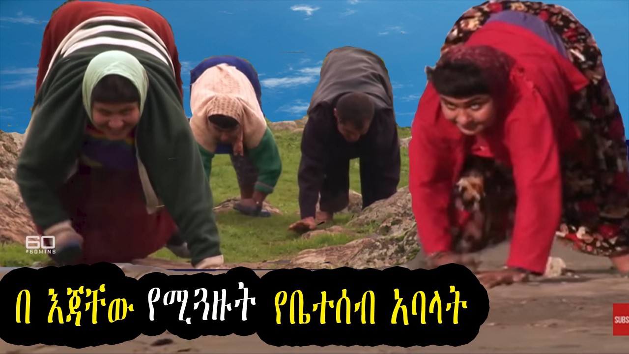 በ አራት  የሚራመዱት  የአንድ ቤተሰብ አባላት !   Members of a family that travel on 4 legs