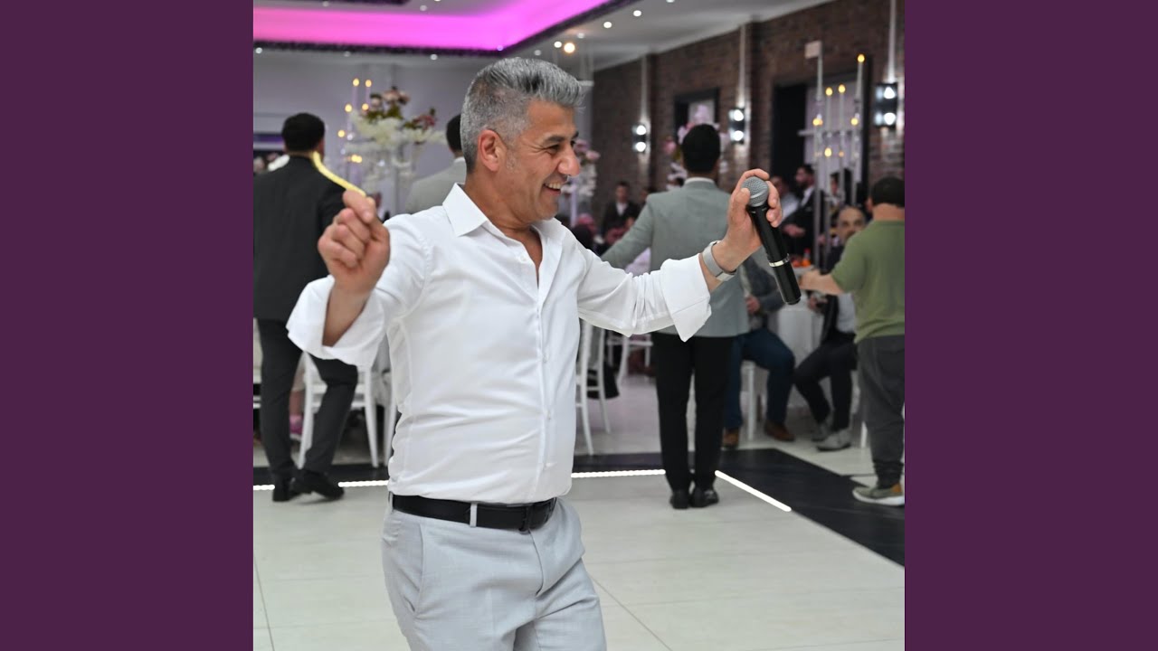 Avdis Besir - Segavi Live 2025 (Live)