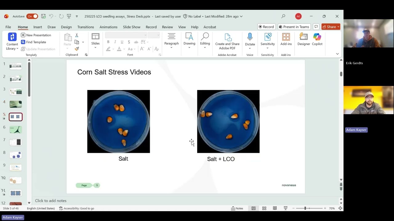 Novonesis Product Overview