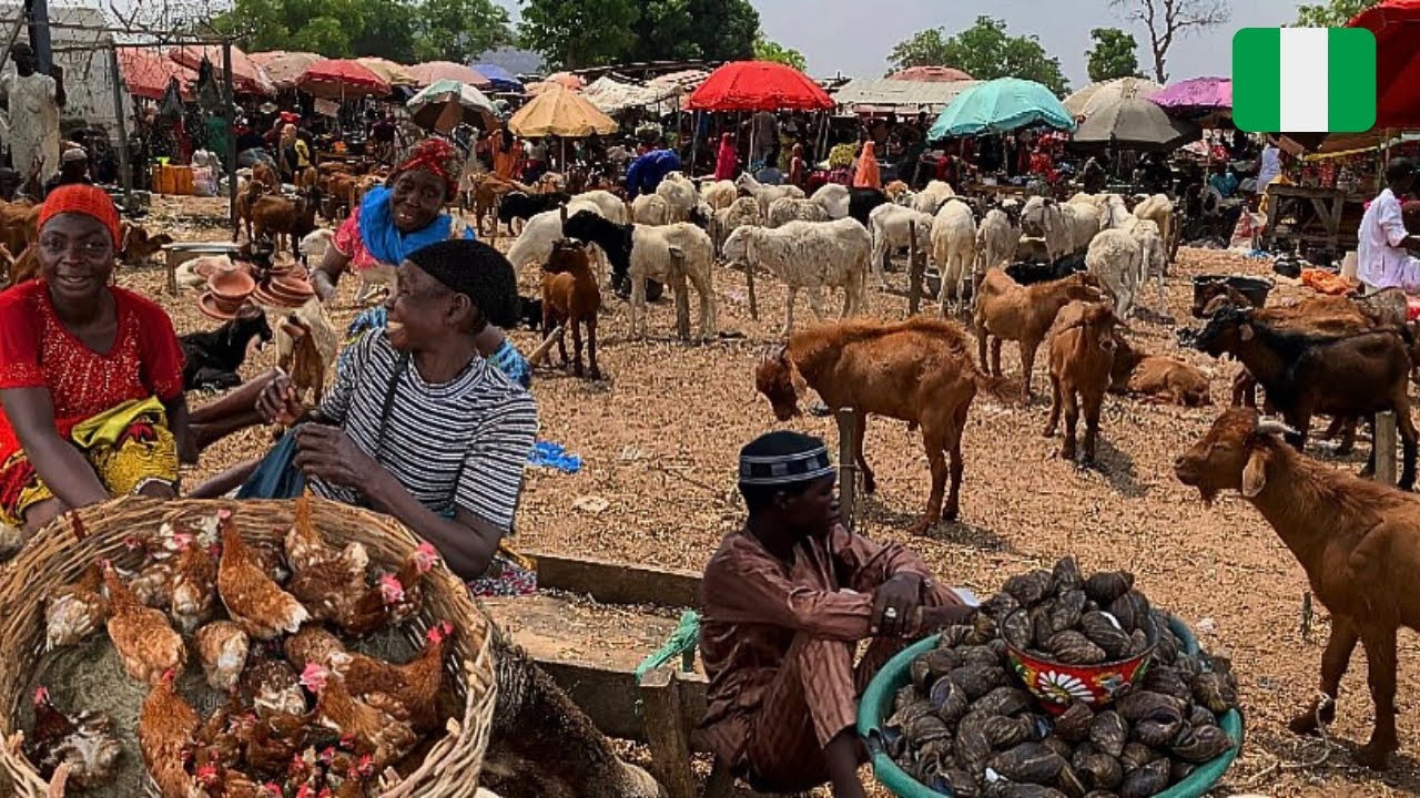 Largest Rural Village Market Day in Gosa Nigeria 🇳🇬 West Africa
