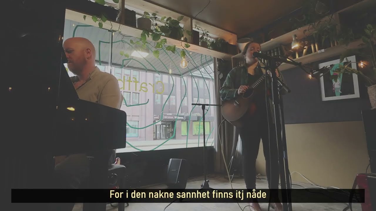 Visa te løgna - Trine Harbak