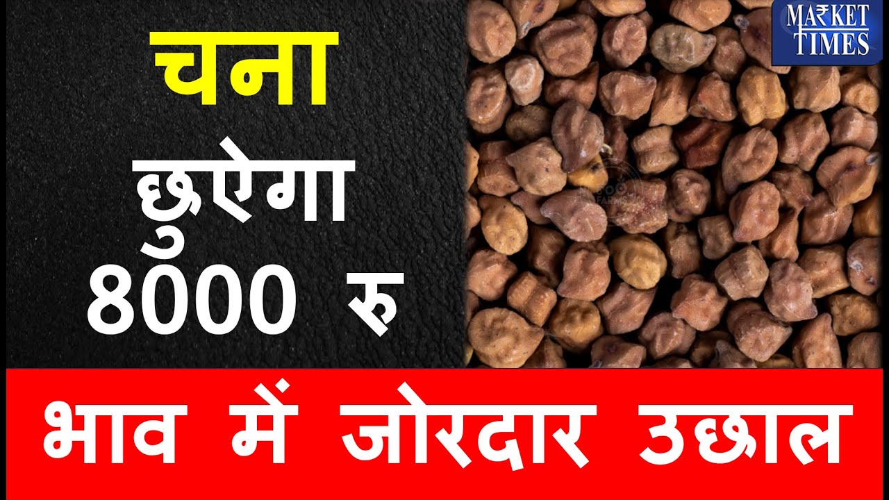 चना छुऐगा 8000 रु | Chana | Pulses | Commodity | Market Times TV | Agri News | Farmers | Agriculture