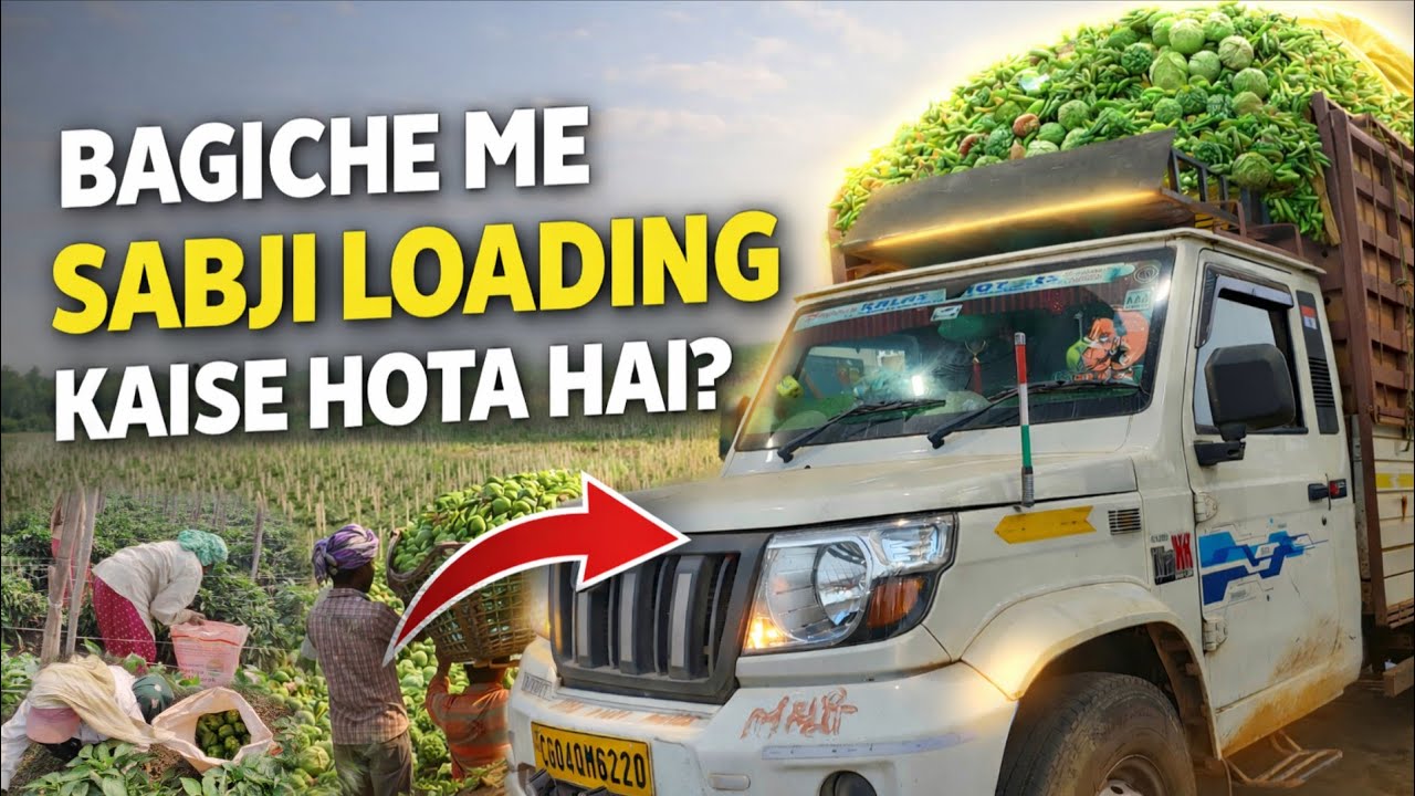 Sabji Bagiche Se Kaise Load Hota hai ?! Aaj hoga Simla Mirch (capsicum) Loading 🫑#vlog