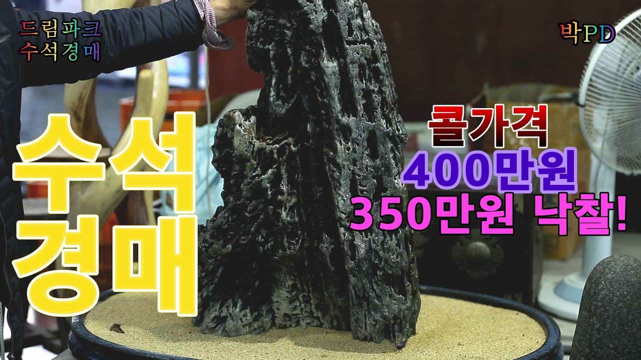 수석경매 콜가 400만원 350만원 낙찰!