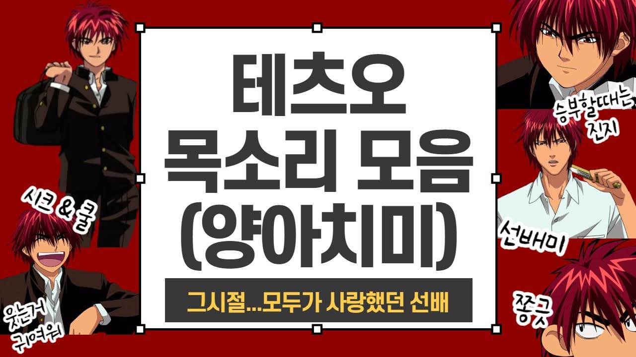 (신용우 성우님) 🐯테츠오🦁 목소리 모음