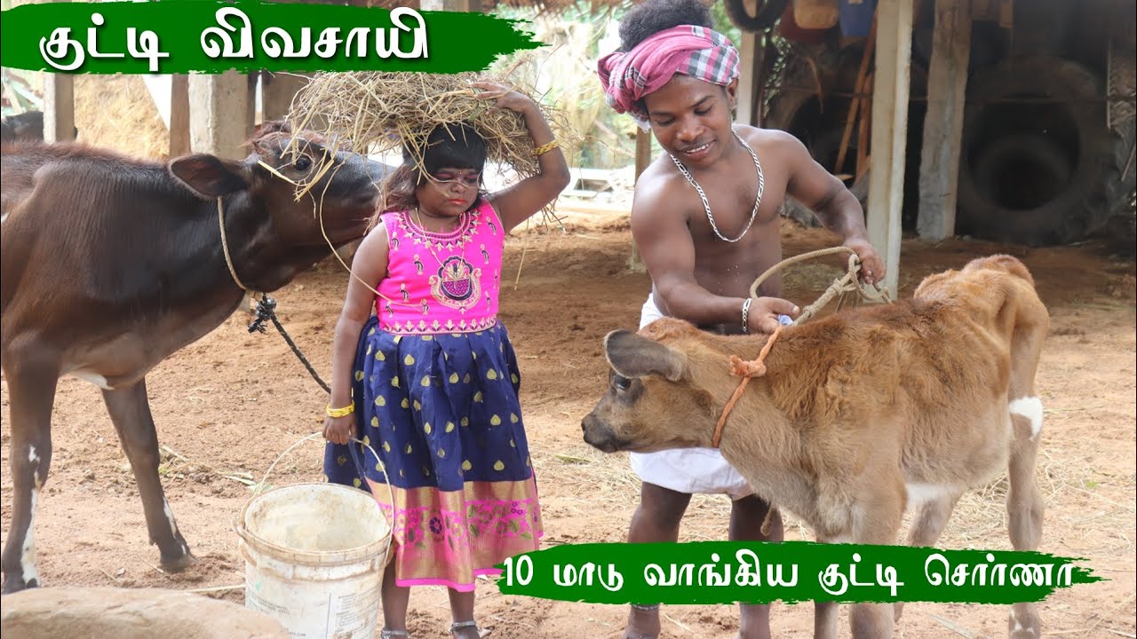 🌾🐄புதிதாக மாடு வாங்கிய குட்டி விவசாயி 🐄 குட்டி சொர்ணா 🌾