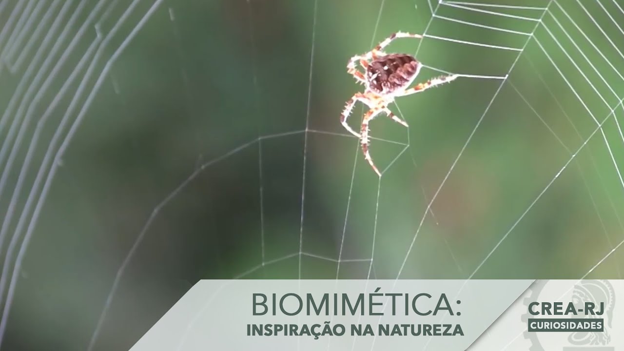 Biomim&eacute;tica: Inspira&ccedil;&atilde;o na Natureza