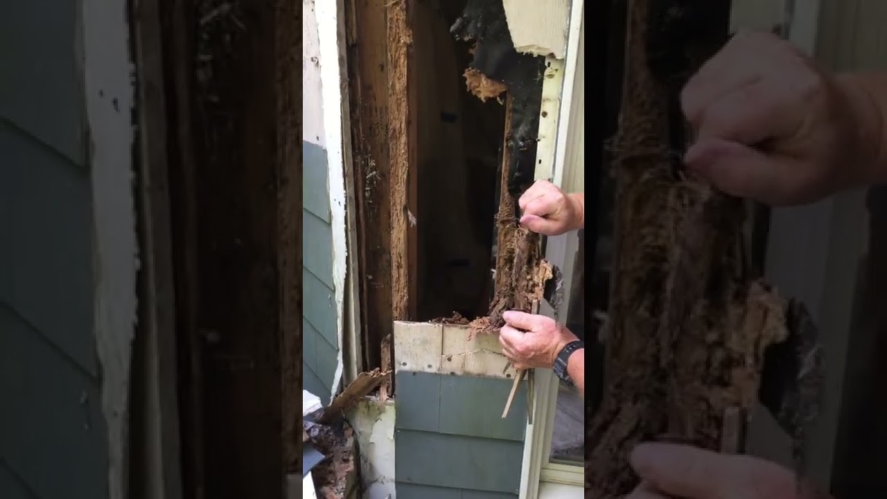 tearing house apart uncovering termite and water damage. #water damage, #home water damage,