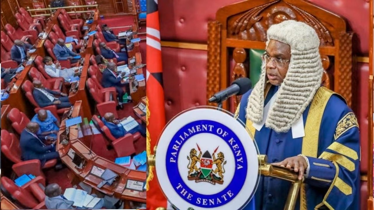 LIVE DRAMA: The Senate Plenary |Wednesday 18th March 2026 || Morning Session
