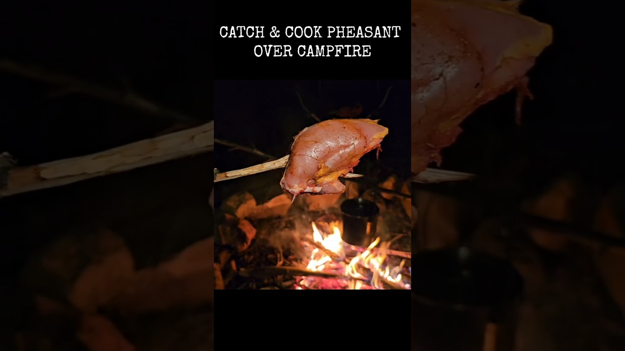 Hunting and cooking pheasant over the campfire