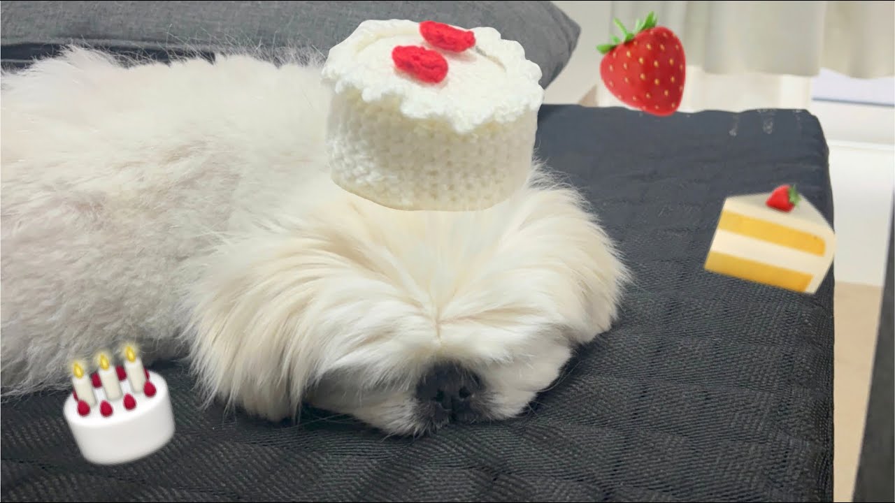 ケーキを作ってプレゼント🎂