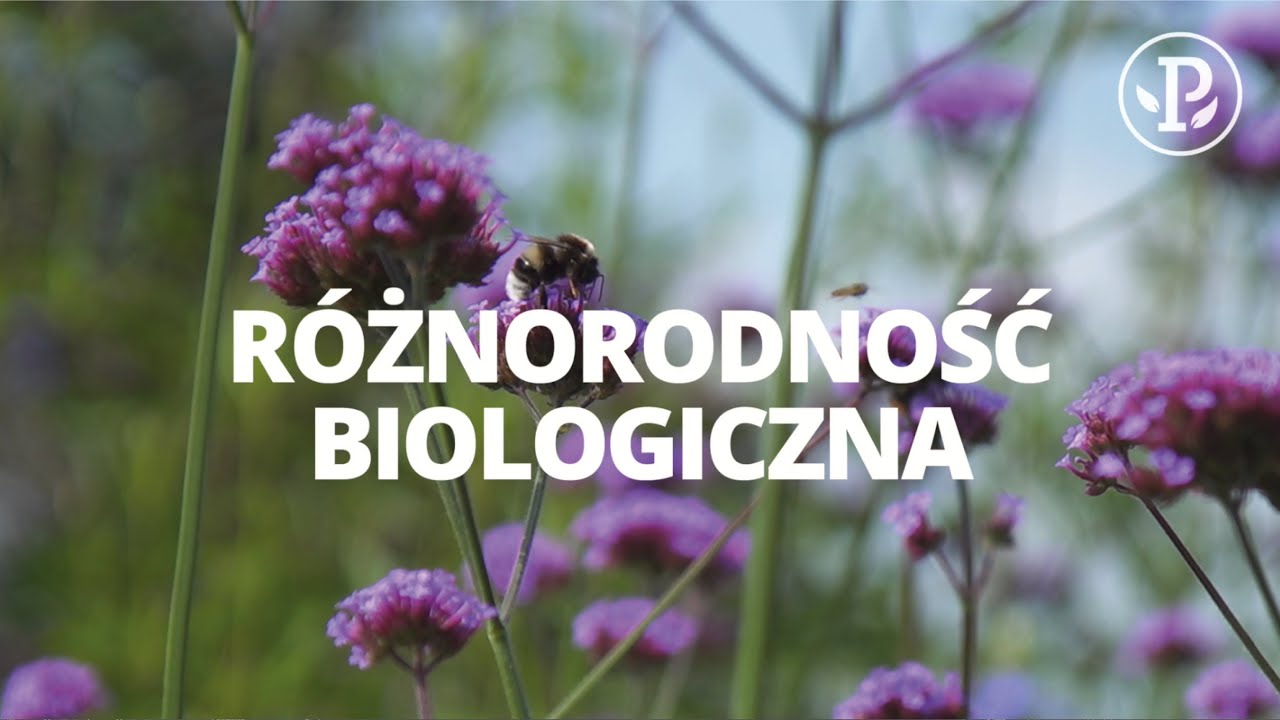 RÓŻNORODNOŚĆ BIOLOGICZNA