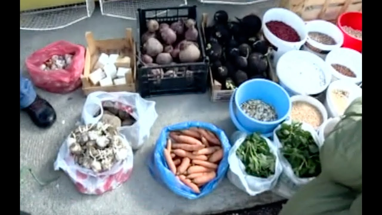 PIJACE U BERANAMA I DANILOVGRADU