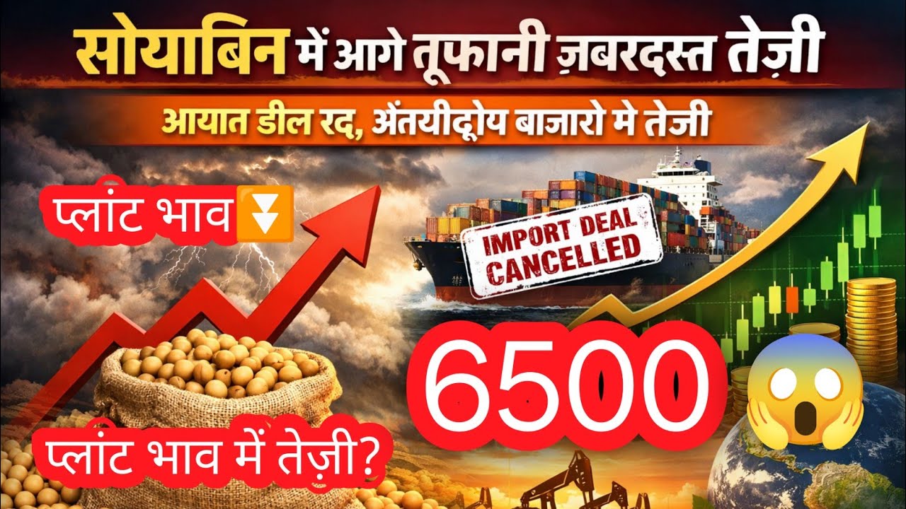सोयाबिन तेज़ी के समर्थन मे बजार, अंतर्राष्ट्रीय बाजारों मे तेज़ी ज़ारी भारतीय बाजारों में क्या असर, 