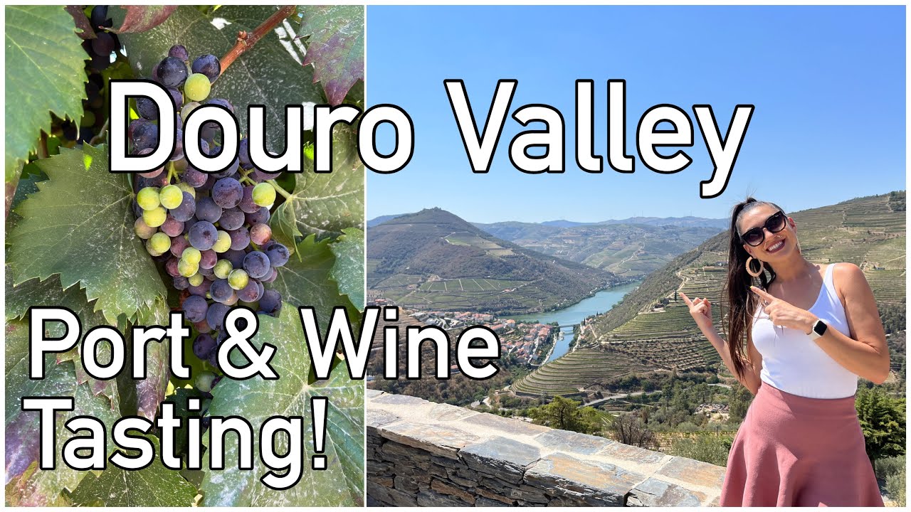 Douro Valley Wine Tasting Tour & Boat Trip on the Douro River: A Unique Experience!