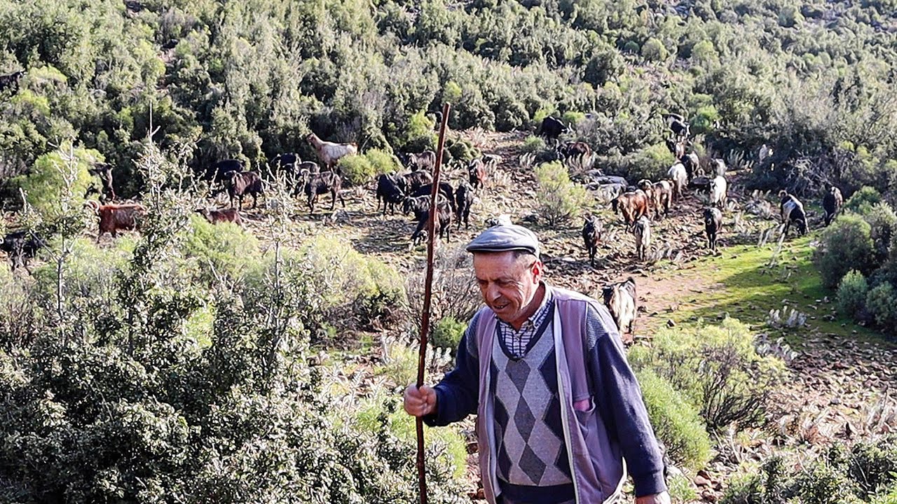 Yörükoğlu Sencan'ın  Keçi Çobanlığı I Belgesel