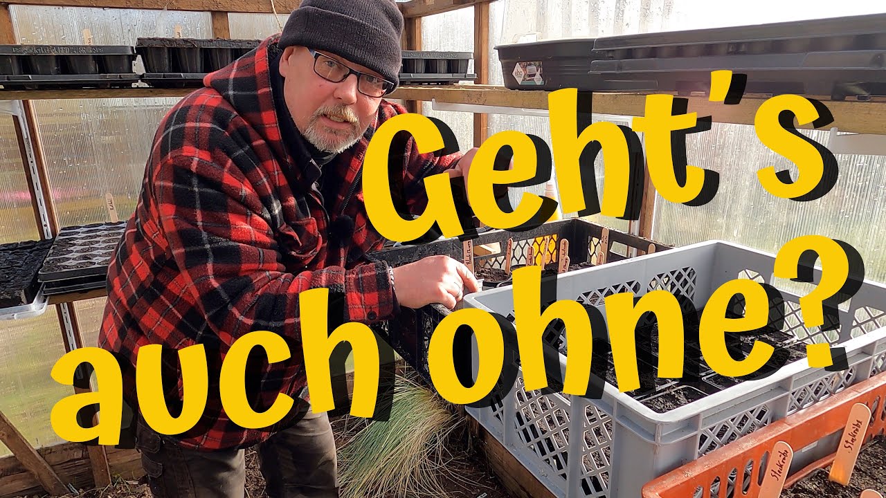 Pflanzenlicht, Heizmatte, oder Keimbeutel. Geht´s auch ohne? Anzucht im kalten Gewächshaus.