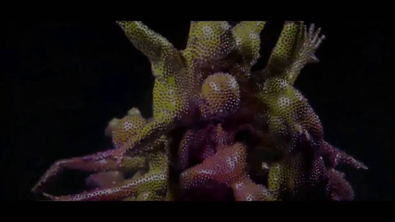 IAO Core Immersive Theater Lab:  Live in Paris July 2015