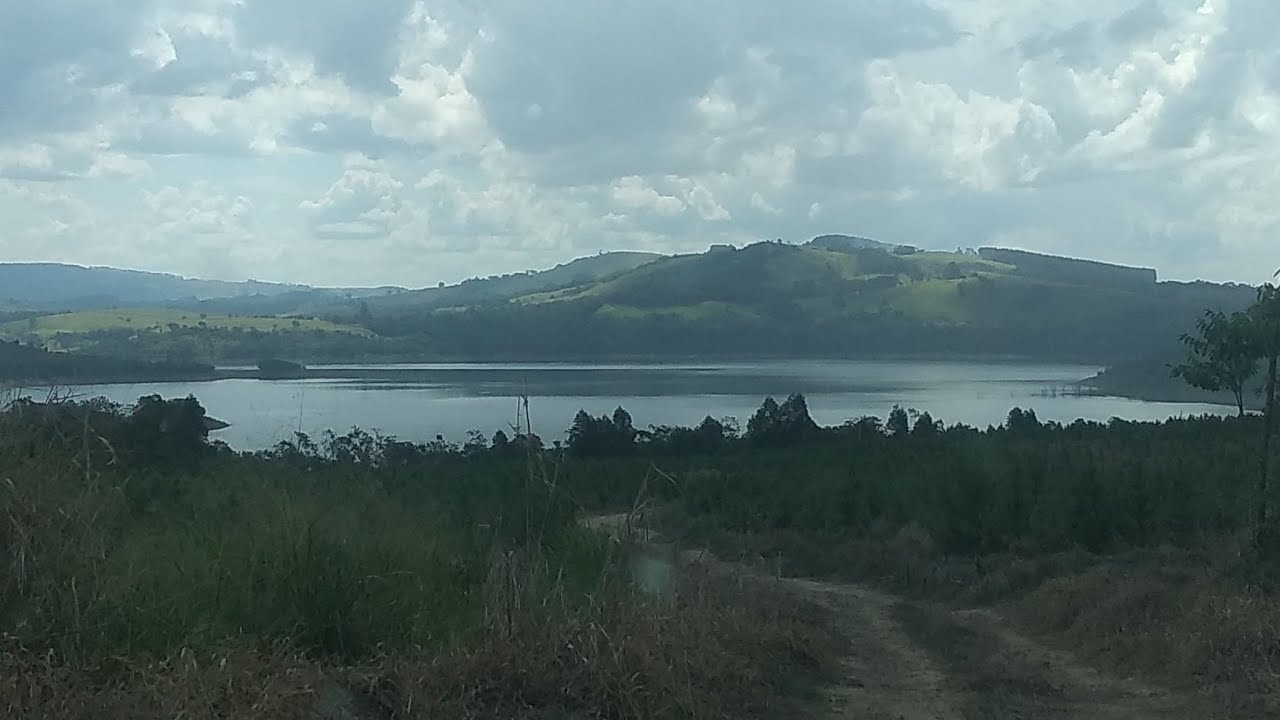 De curiuva ate alagado de TELÊMACO BORBA PR