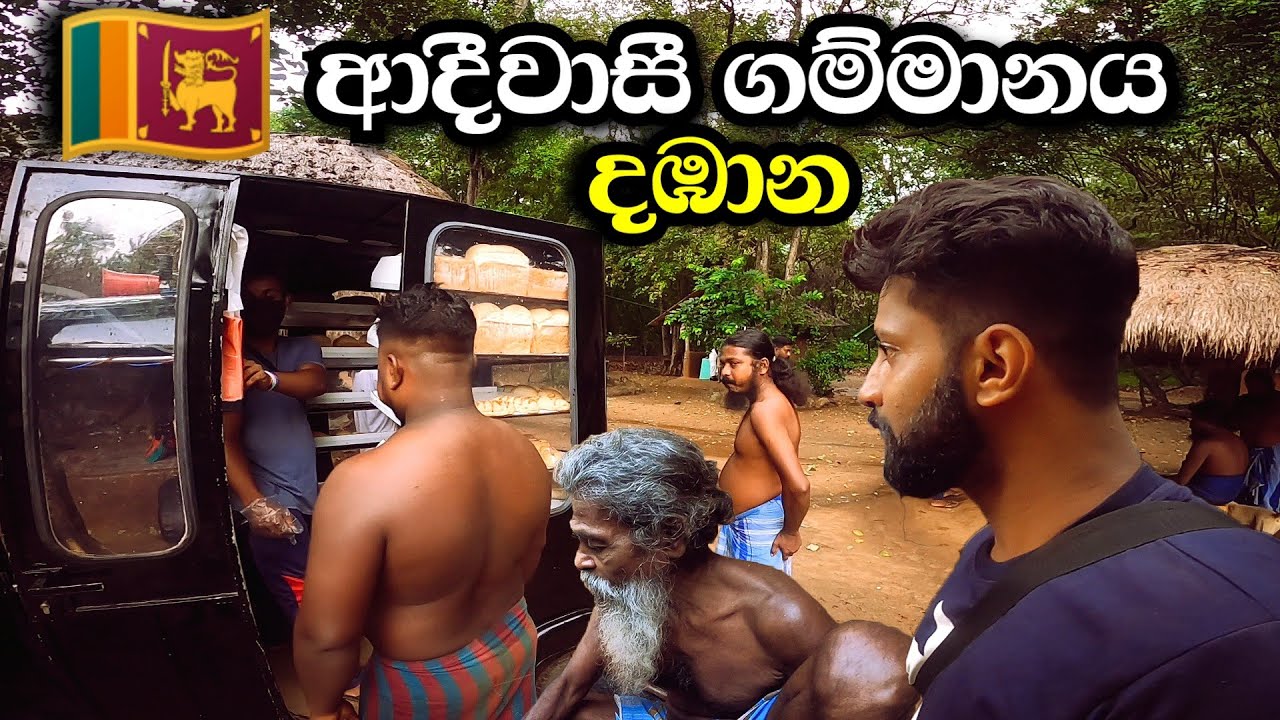 Dabana Srilanka Mahiyanganaya | Wedda Village | දඹාන ආදීවාසී ගම්මානය මහියංගනය |