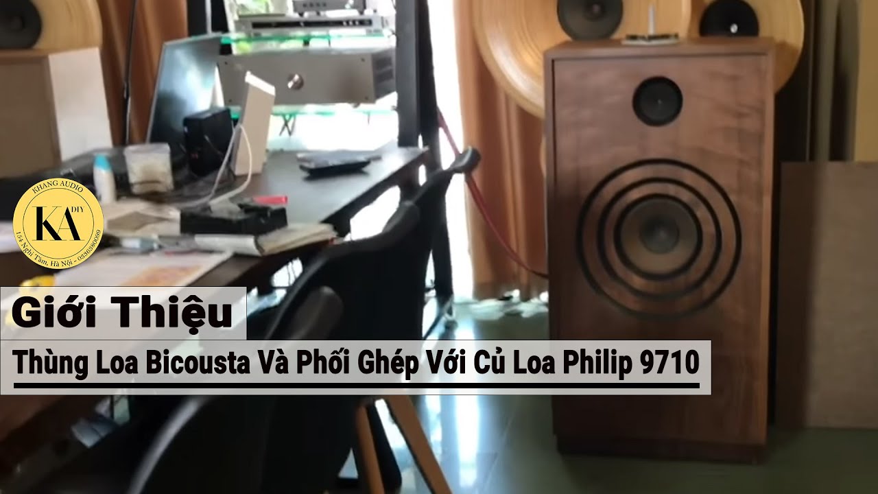 Giới Thiệu Thùng Loa Bicousta Và Phối Ghép Với Củ Loa Philip 9710