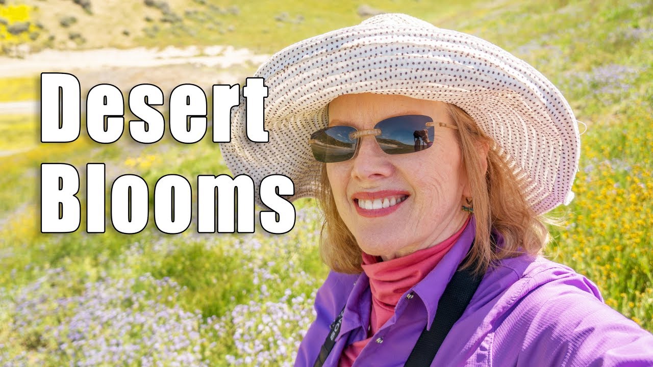 California Desert Super Bloom | Carrizo Plain, Poppies | Episode 20