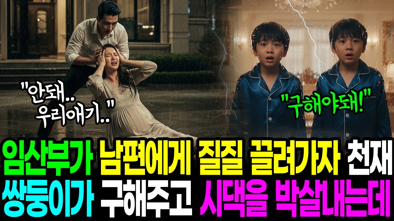 임산부 아내 끌고 가는 쓰레기 남편, 천재 쌍둥이의 참교육에 시댁까지 폭망 ㅣ시니어사연ㅣ오디오드라마ㅣ오디오북ㅣ듣는드라마