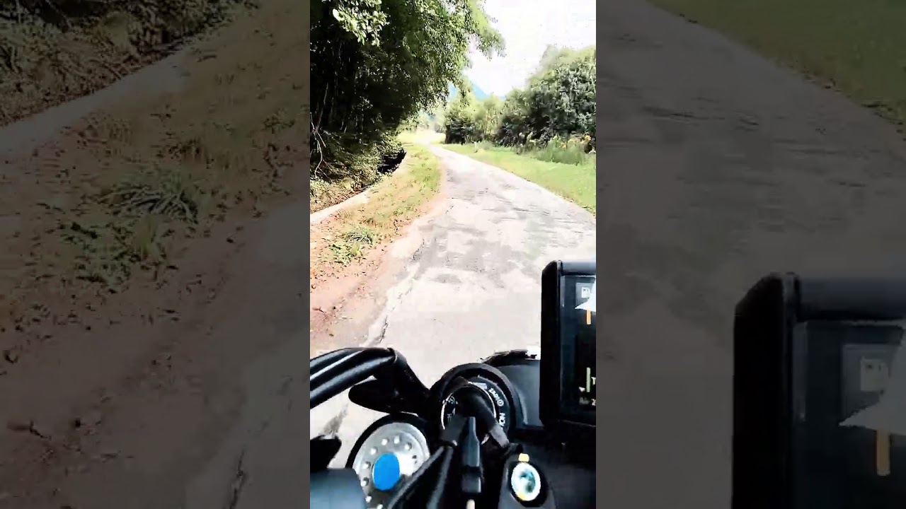 Ducati Scrambler icon dark 2025 road through the woods