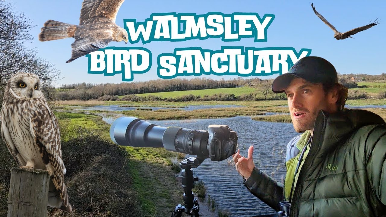 Cornwall Birding Vlog - Walmsley and Chapel Amble