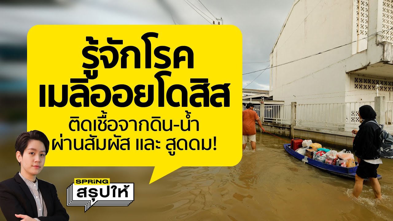 โรคเมลิออยโดสิส คืออะไร อาการติดจากเชื้อในน้ำ - ดิน ทั่วไทยผ่านการสัมผัส หรือ สูดดม  l SPRiNGสรุปให้