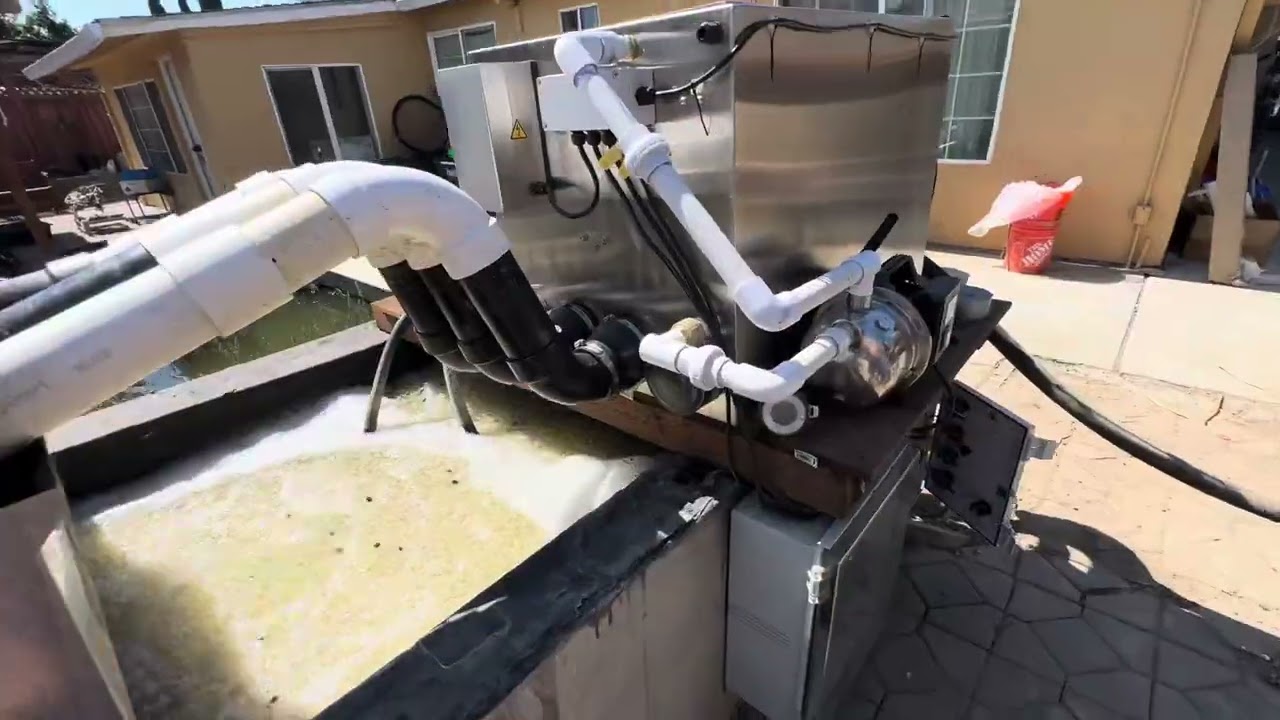 New Free Drum Filter upgrade Koi Pond RDF