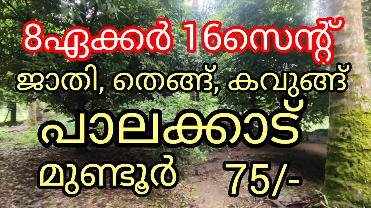 8ഏക്കർ 16സെന്റ് ജാതി തോട്ടം പുഴയോരം.