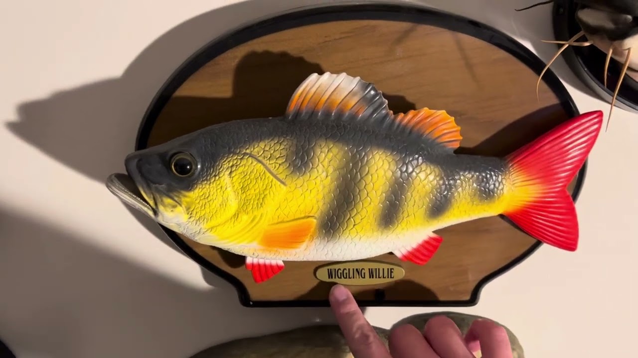 Wiggling Willie Singing Fish