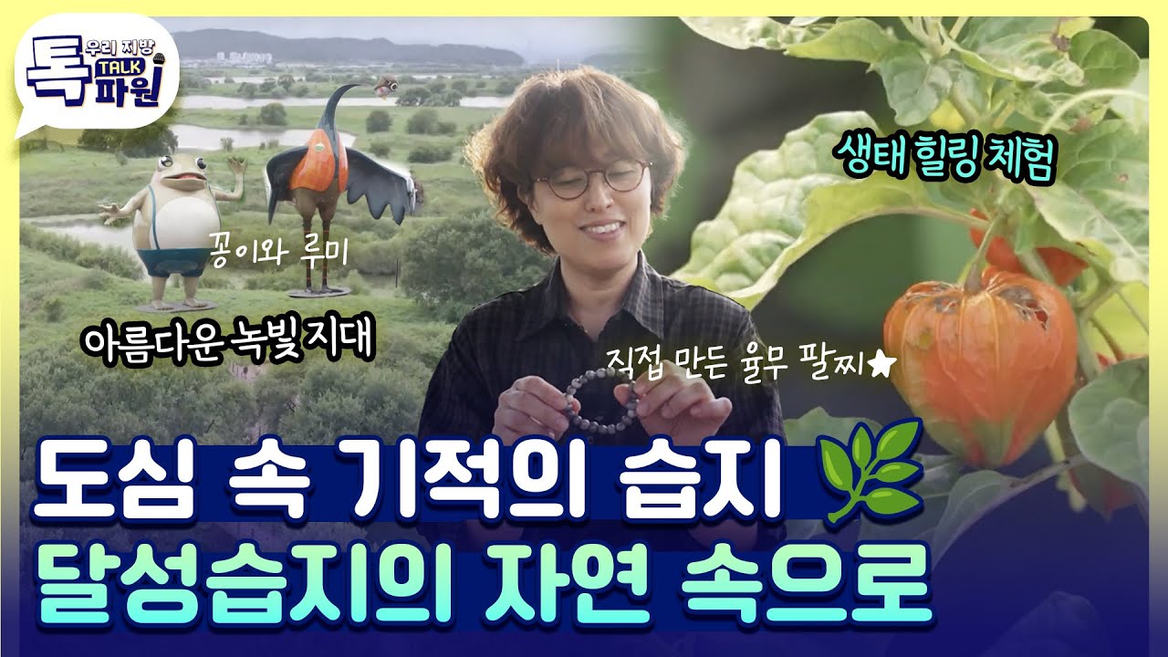 건물 사이에 피어난 자연의 보고, 달성습지로 떠나요 🌱 [#지금은지방시대]
