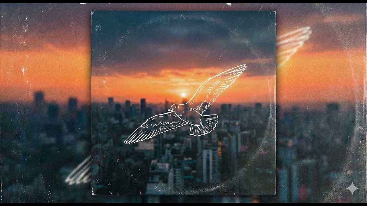 DGemiNo - Jonathan Seagull (ลมใต้ปีก)