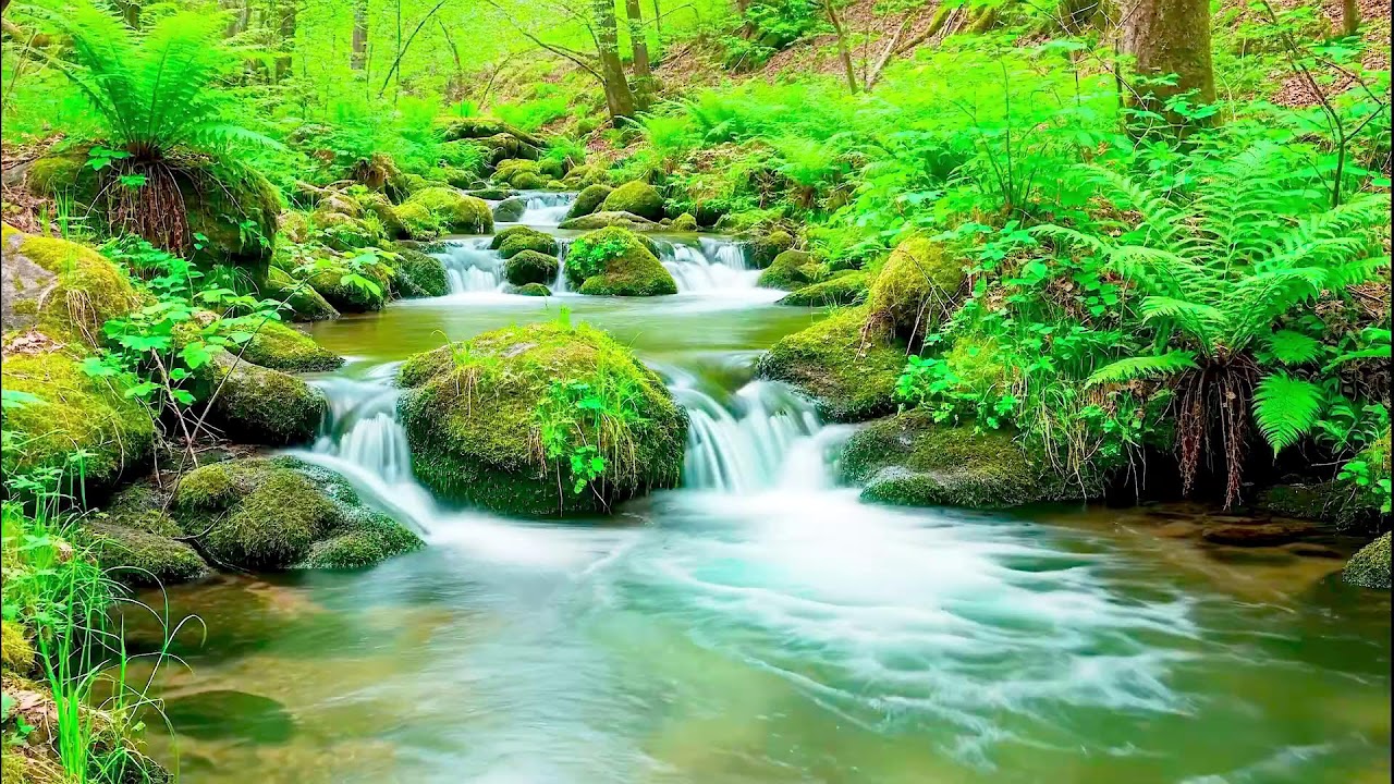 Soothing River Sound for Deep Sleep | Natural White Noise for Wellness & Calm Mind