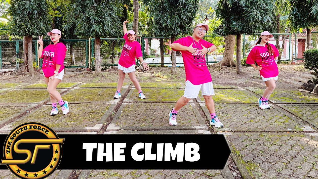THE CLIMB ( Dj Ronzkie Remix ) - Dance Trends | Dance Fitness | The South Force