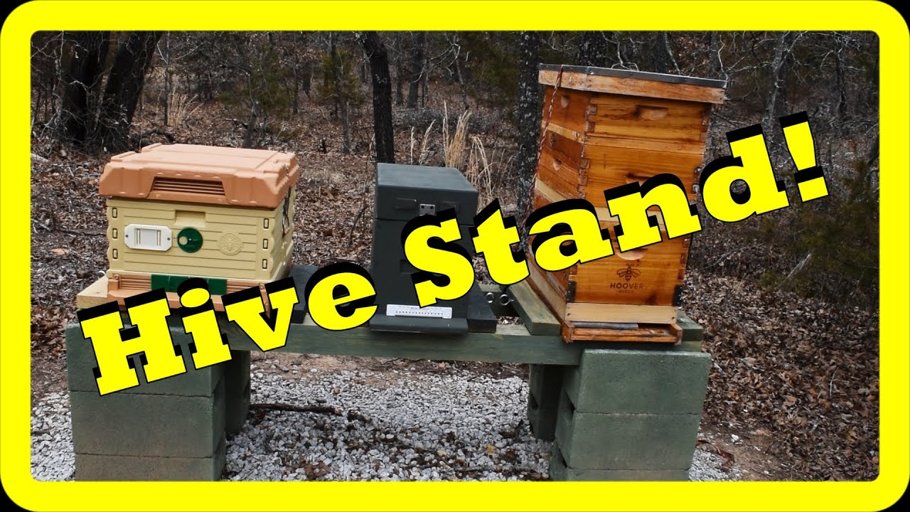 Hive Stand for Bees!