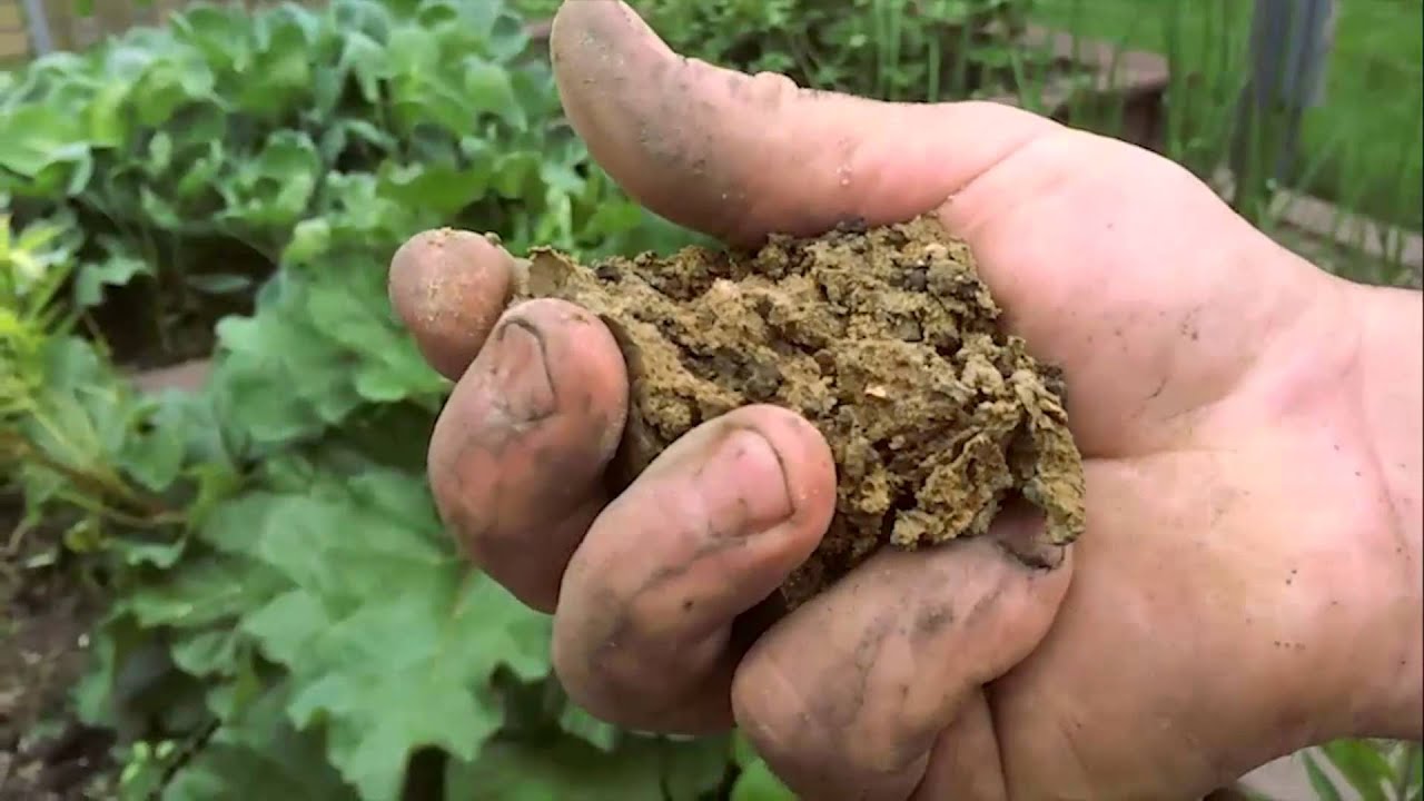 Improving Garden Soil Types With Amendments