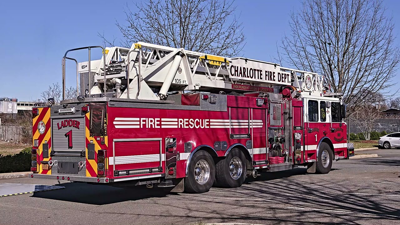 All About ... Charlotte's New Ladders