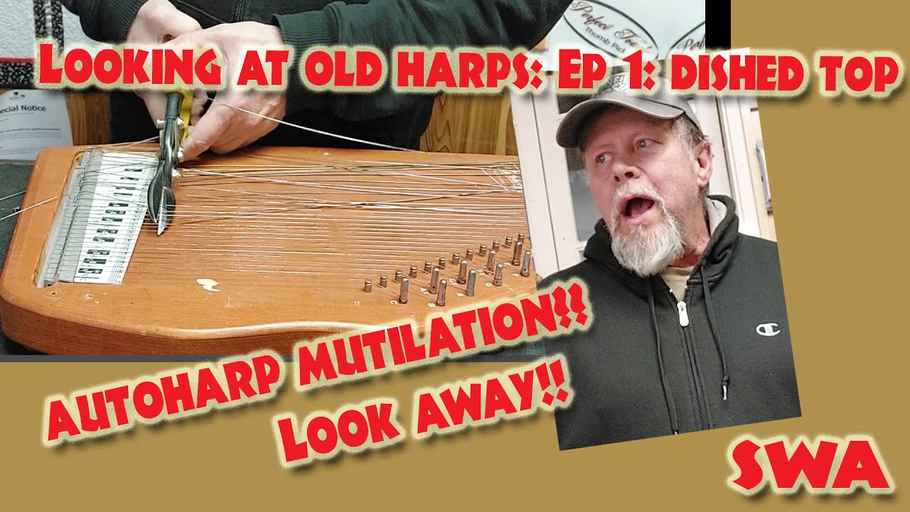 Is it a Lemon?  Let's look!   Used Autoharps #1.  Dished Top