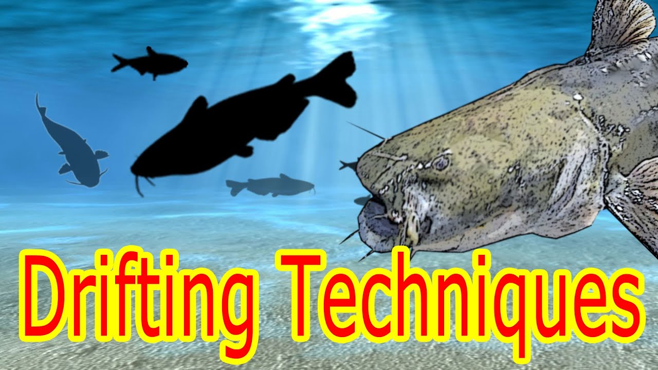 Drift fishing for Catfish Basics: Real Action