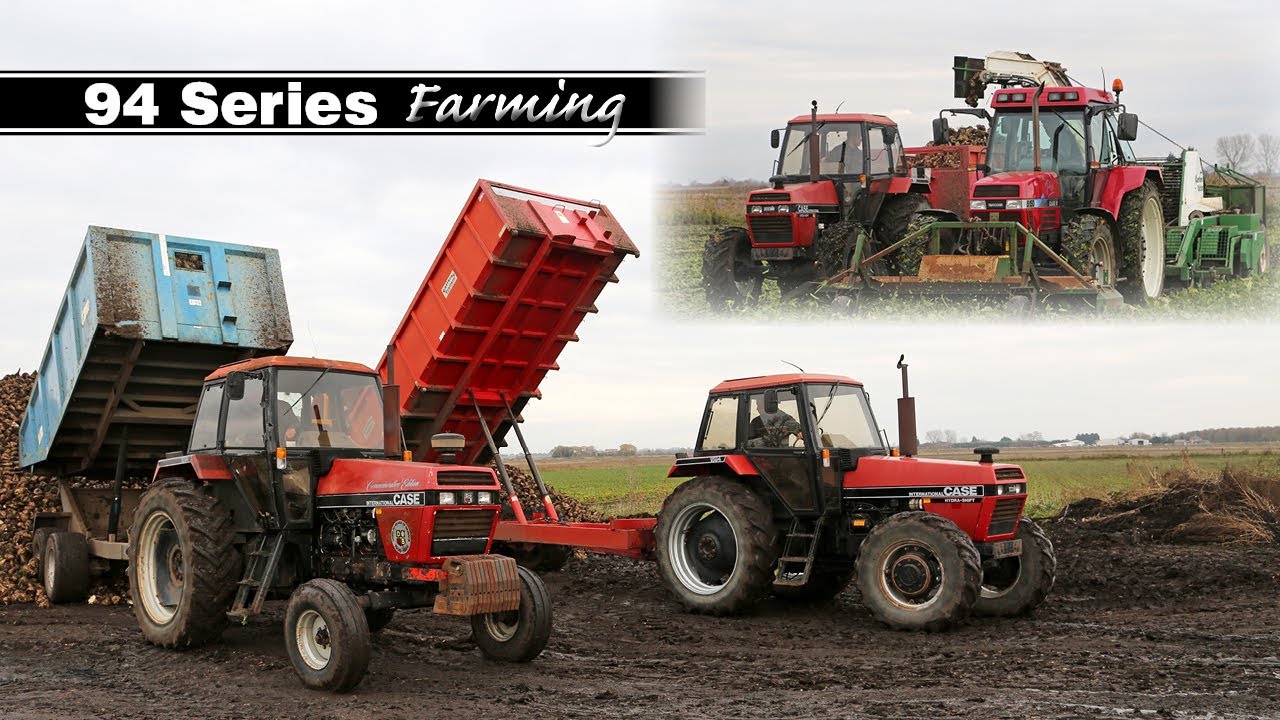 Уборка свеклы в классической серии 94: Case IH Maxxum 5150 Pro и Garford с двумя тележками Case I...