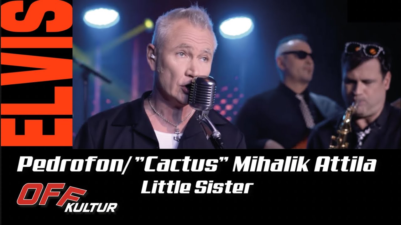 ”Cactus” Mihalik Attila | Little Sister | Pedrofon feat.