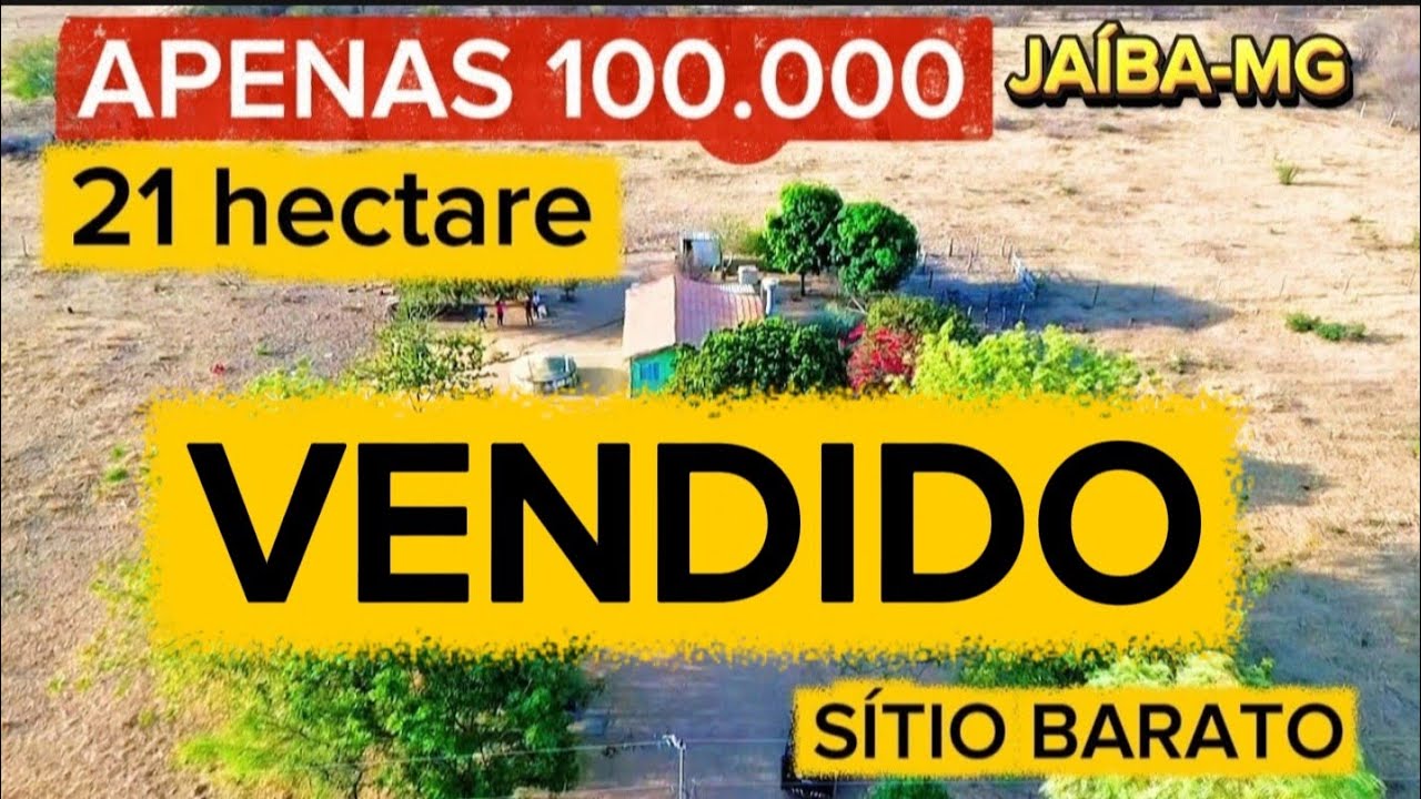 VENDE-SE 21 HECTARE POR 100.000. OPORTUNIDADE ÚNICA 
